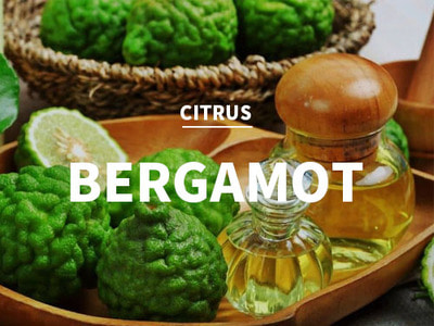 베르가못 (Bergamot)(Citrus Type)