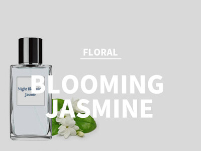 나이트블루밍 자스민 (Night Blooming Jasmine)